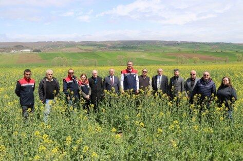 samsun haber: Çiftçiye can suyu! Samsun'da stratejik ürünlere destek 