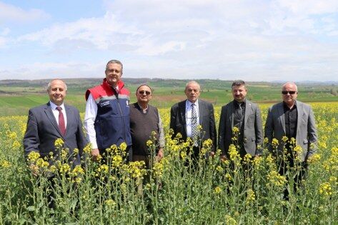 samsun haber: Çiftçiye can suyu! Samsun'da stratejik ürünlere destek 