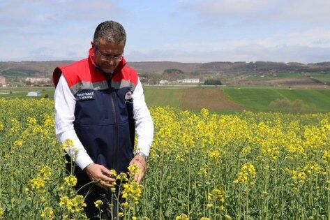 samsun haber: Çiftçiye can suyu! Samsun'da stratejik ürünlere destek 