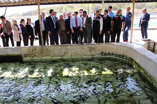 Bu Baligin Havyari Siyah Inci Karadeniz E 8 B 2 19760437 O