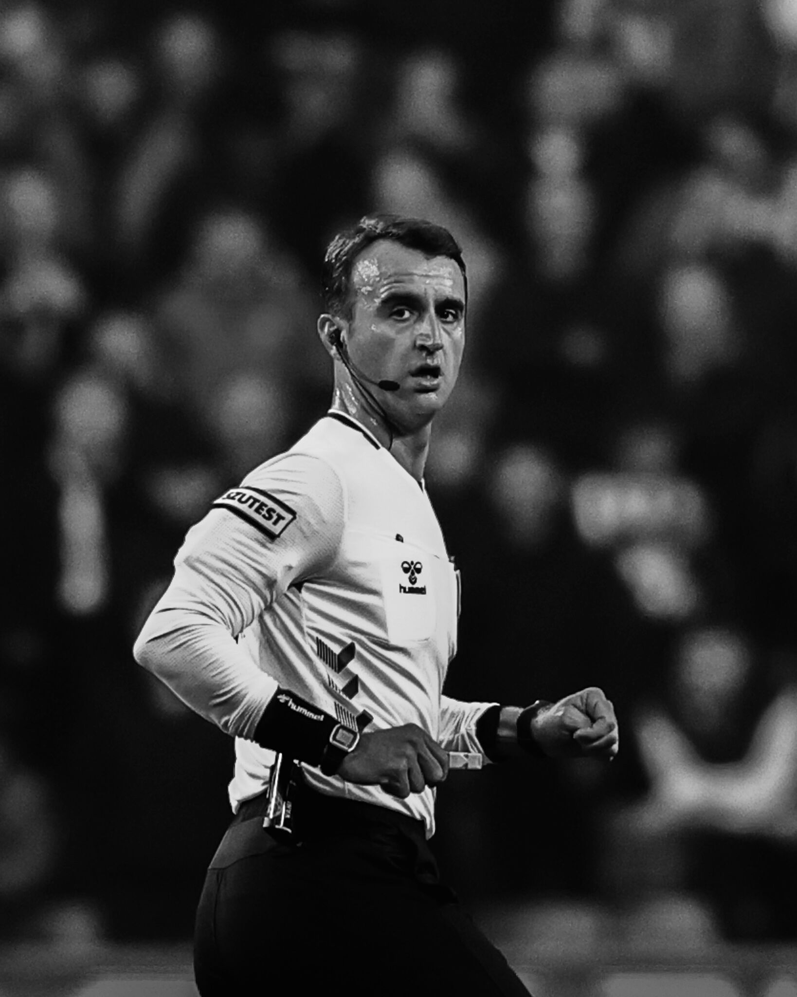 H Gn Mm I1 W M A Ax H6 S