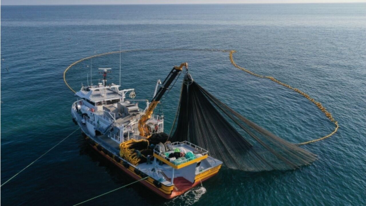 Samsun Il Tarim Ve Orman Mudurlugu Acikladi Denizler Bereket Sacti Kapak
