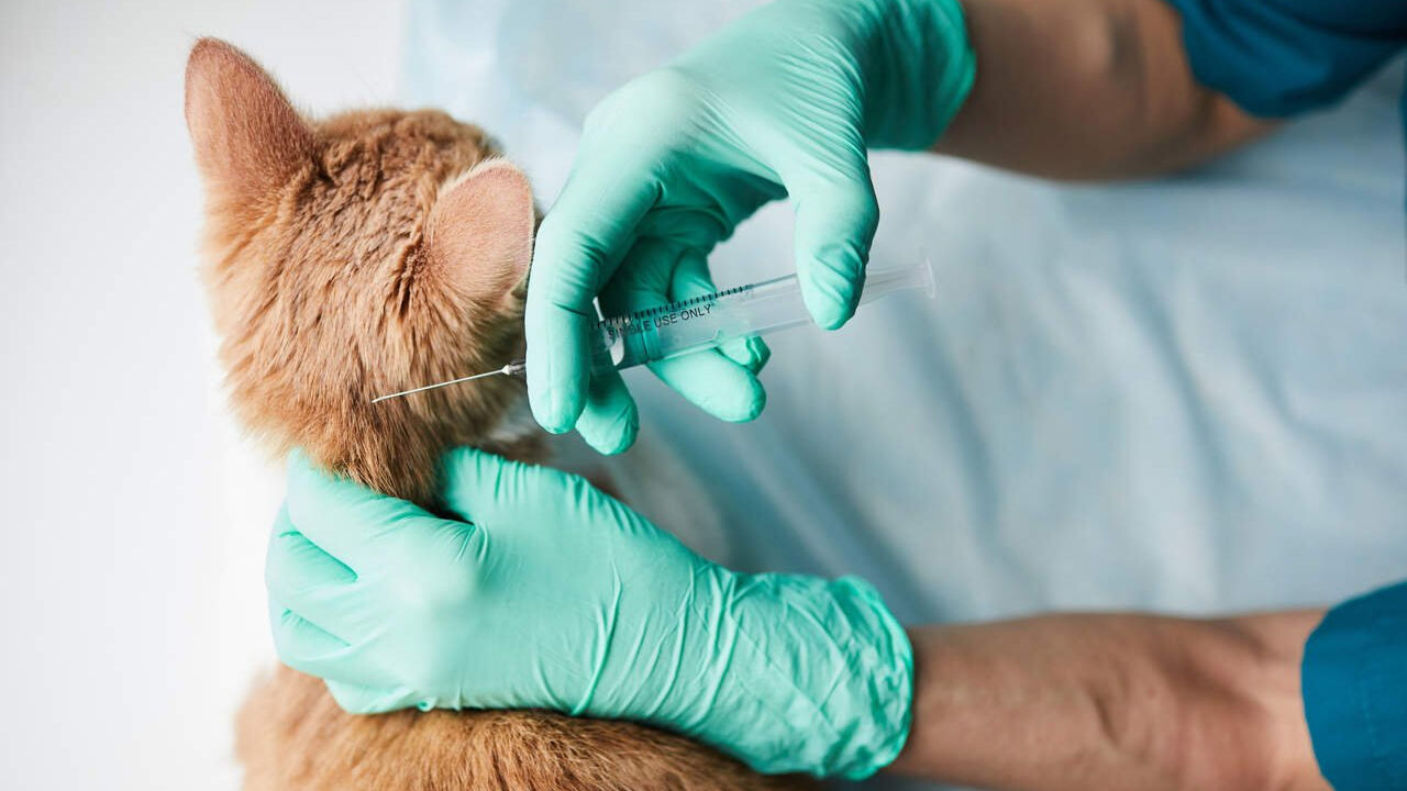 Samsun'dan dikkat çeken çağrı! "O aşı durdurulsun"