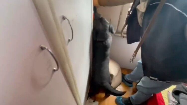 Samsun'da narkotik köpeği Tahra’dan nokta atışı! Zehre geçit yok