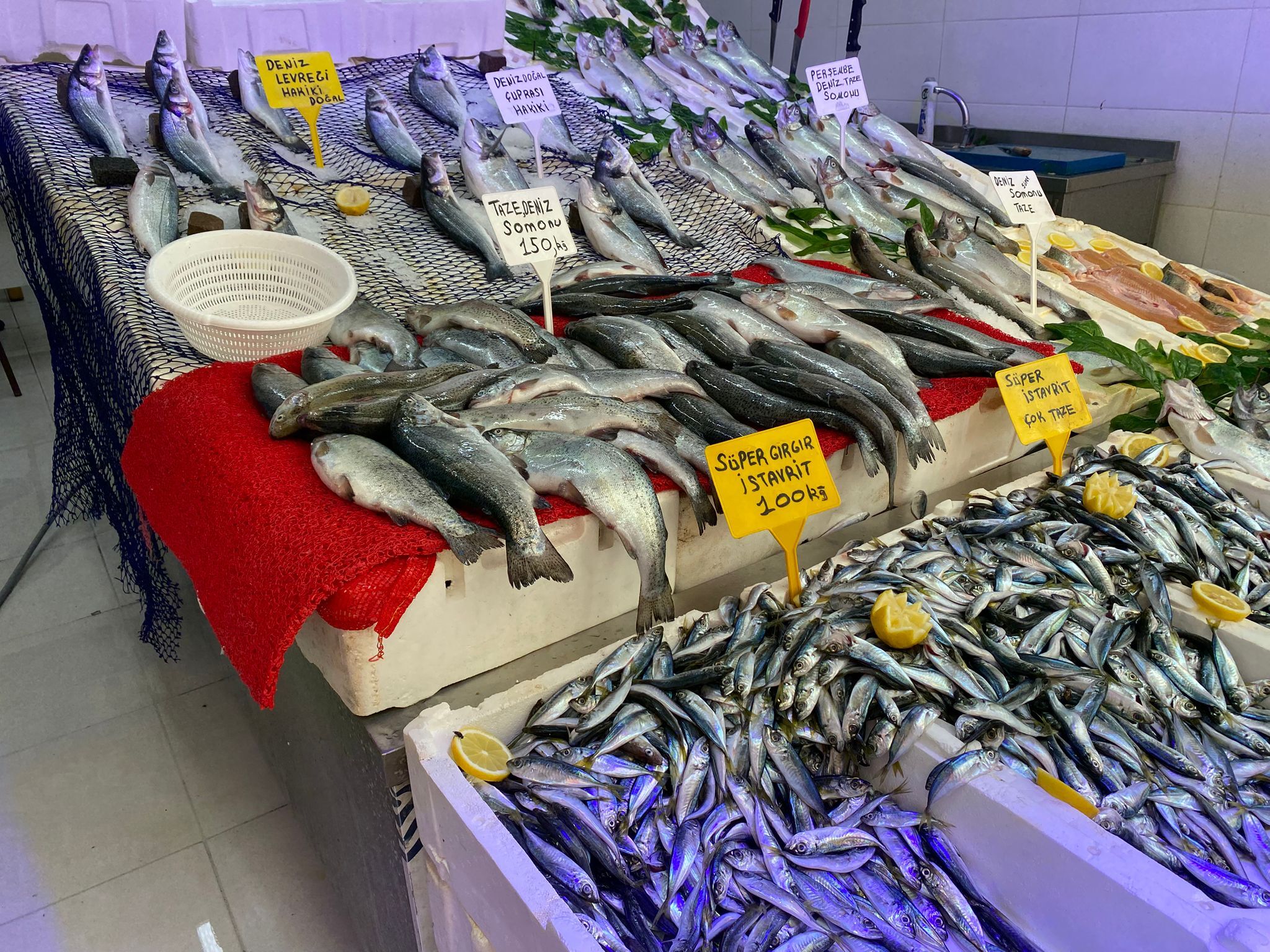 samsun haber: Samsun'da balık bol, fiyat uygun, satş durgun! 