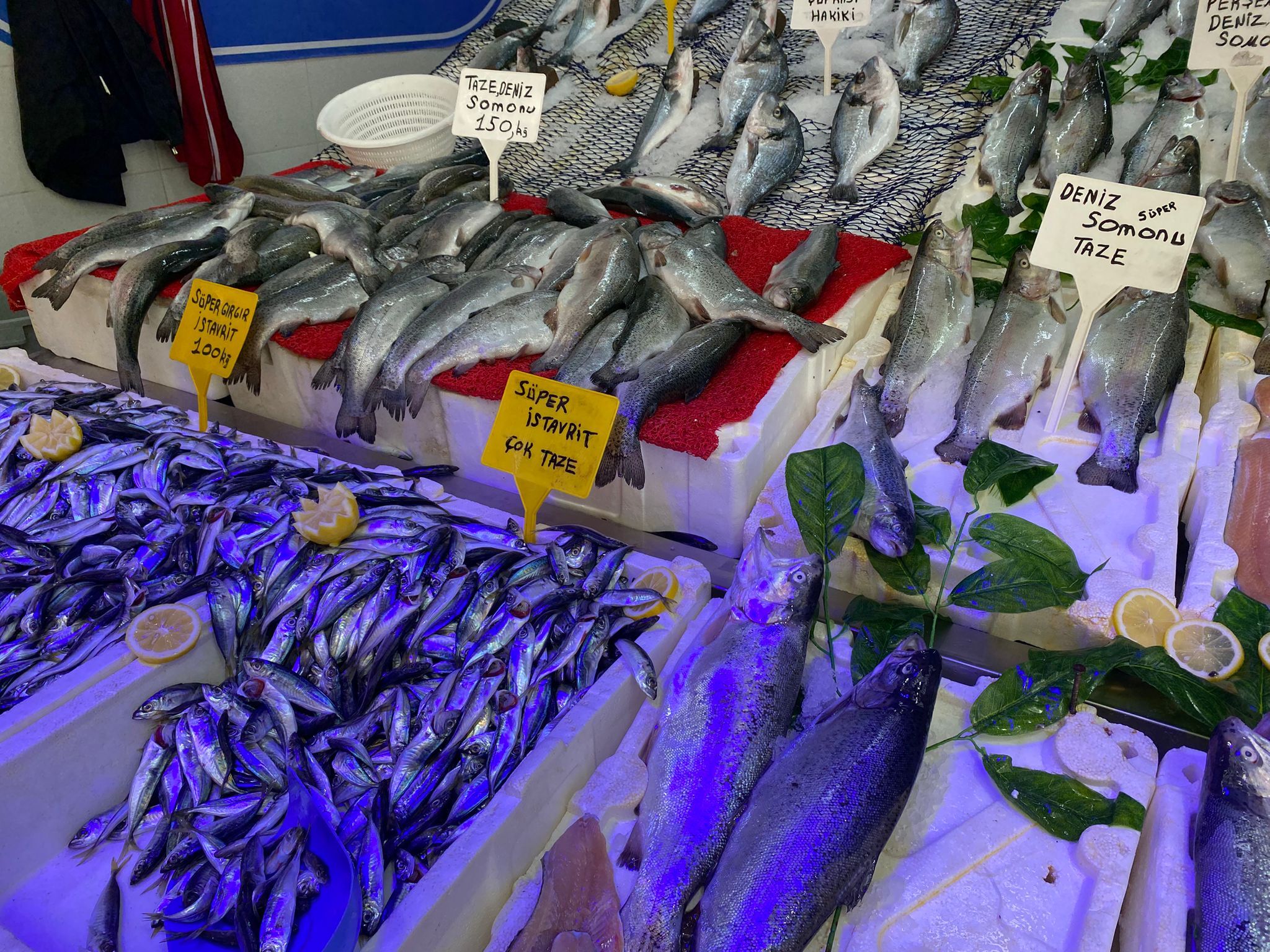 samsun haber: Samsun'da balık bol, fiyat uygun, satş durgun! 