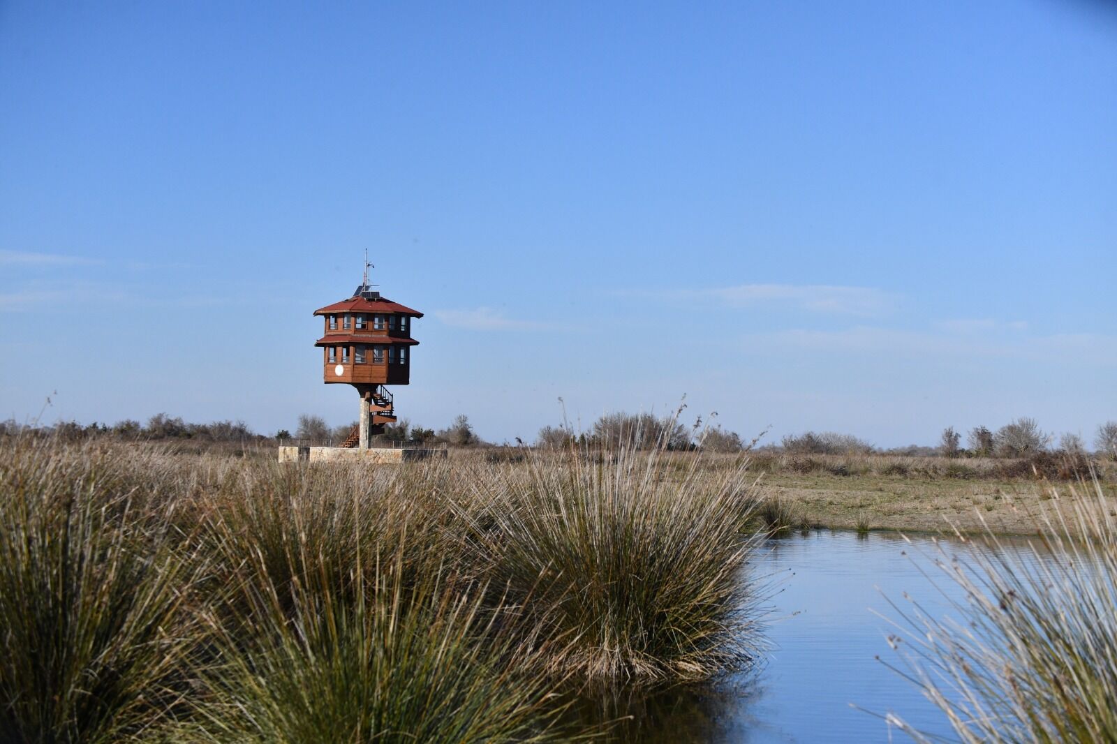 Samsun turizmde vites yükseltti!