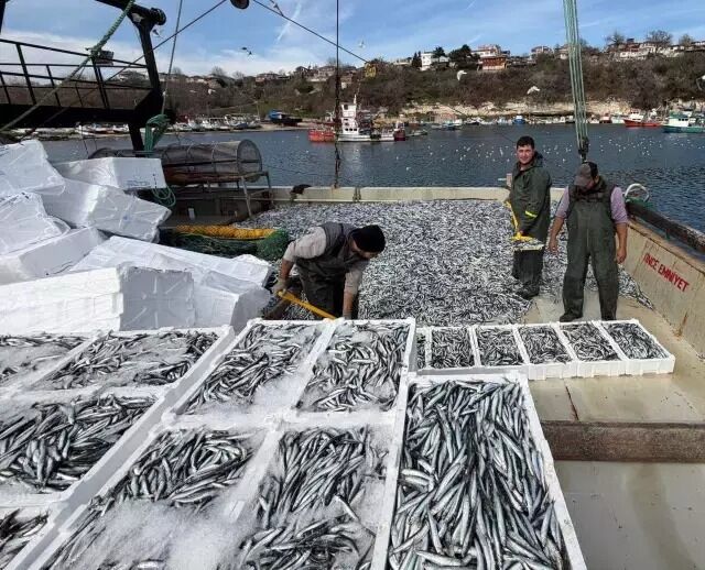 Samsun İl Tarım ve Orman Müdürlüğü açıkladı: Denizlerde rekor sezon!