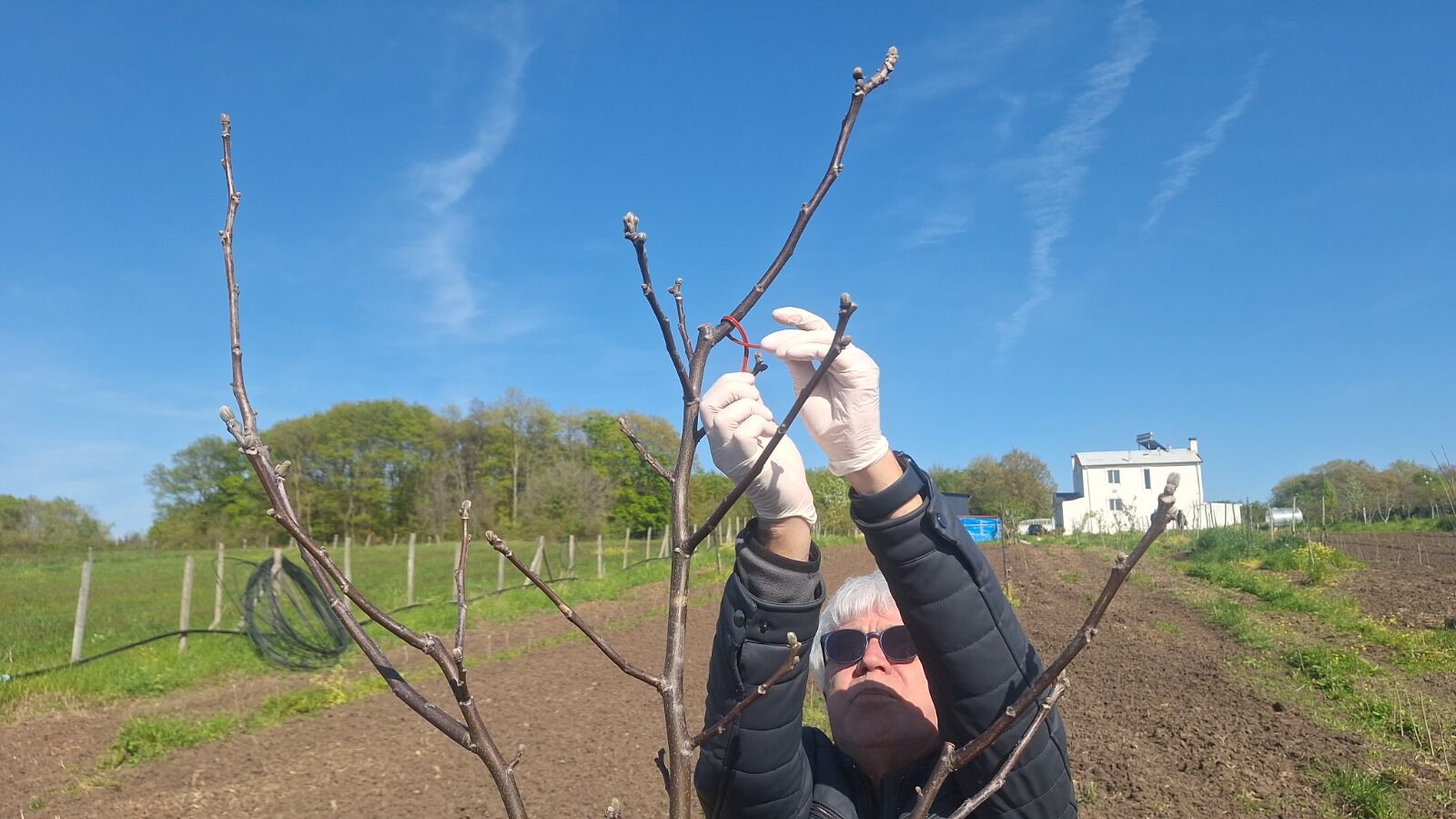 Samsun'da dikkat çeken proje! Doğayı koruyup verimi artıracak