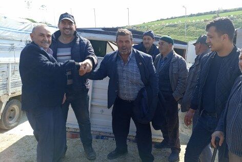 Kurbanlık fiyatları cep yakıyor! Havza’da hayvan pazarı hareketlendi 