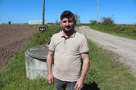 samsun haber: Bafra'da üreticinin yüzü karnabahardan yana güldü 