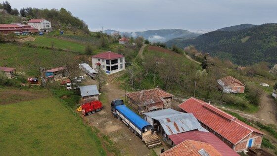 samsun haber: Samsun’dan İstanbul’a kurbanlık mesaisi başladı