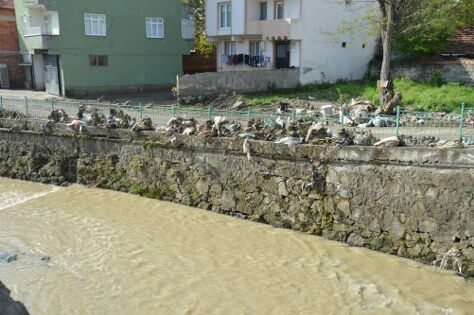 samsun haber: Havza'da selin izleri siliniyor! 
