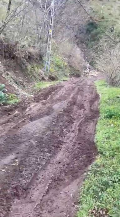 Salipazarinda Yol Tepkisi