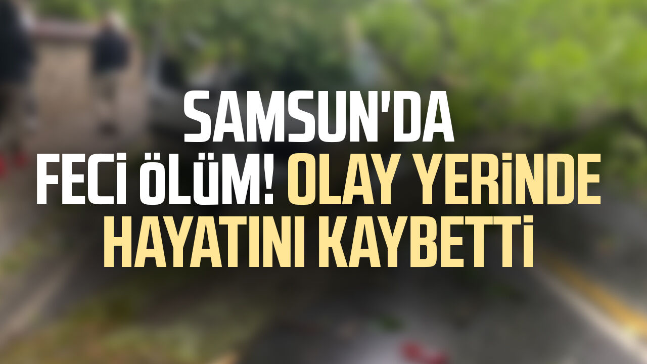 Samsun'da Devrilen Ağaç Can Aldı! Sadık Etli Hayatını Kaybetti 3