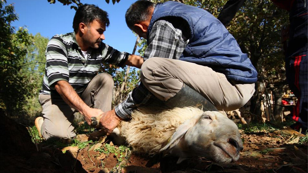 Samsun'da HAYTAP'tan 'acısız' kurban kesimi çağrısı