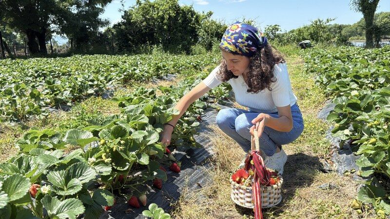 samsun haber: Samsun'da genç kadının kararı hayatını değiştirdi