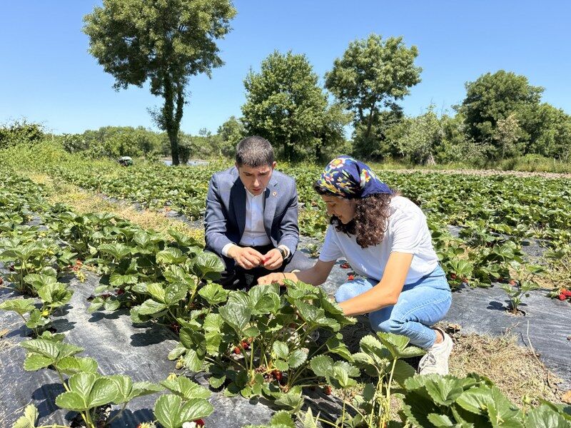 samsun haber: Samsun'da genç kadının kararı hayatını değiştirdi