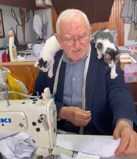samsun haber: Samsun'da "Kedilerin Dedesi" yürekleri ısıttı