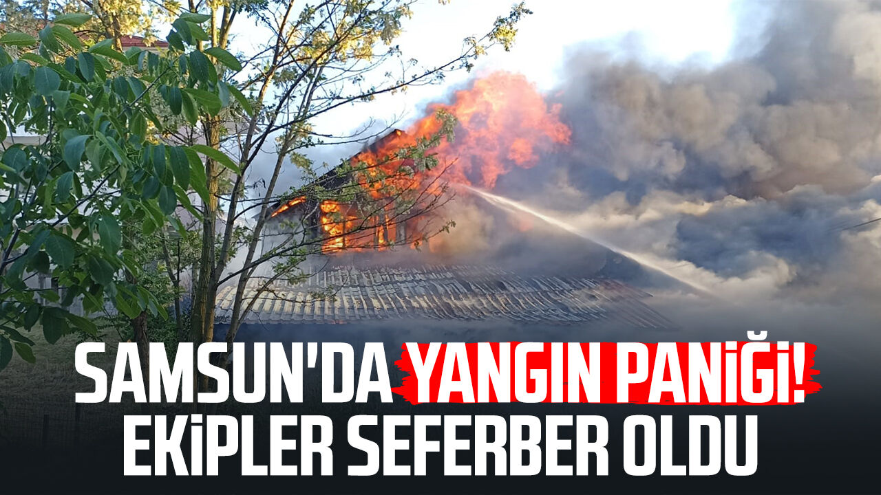 Samsunda Yangin Panigi Ekipler Seferber Oldu 706
