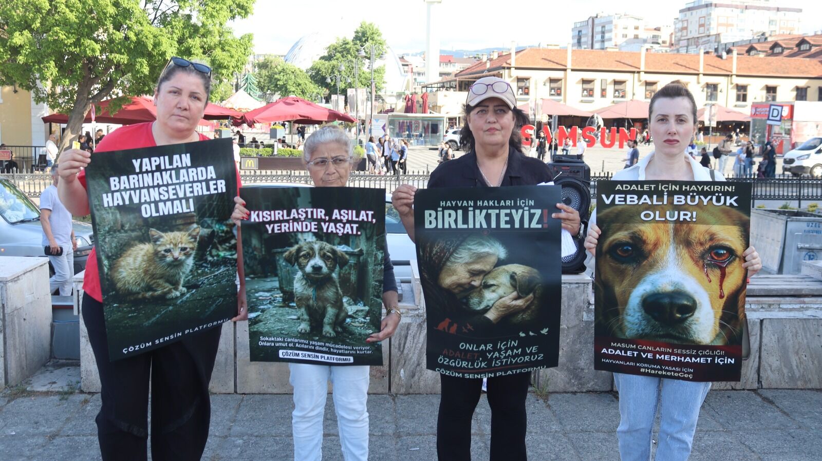 samsun haber: Samsun'da sokak hayvanları için ortak ses