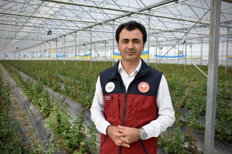 samsun haber: Karadeniz'in örnek gül serası Bafra'da üretime geçti