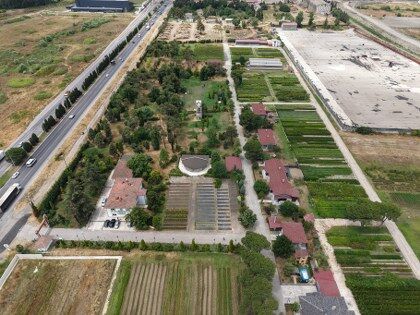 samsun haber: Samsun'da her yıl 3 milyon fidan toprakla buluşuyor