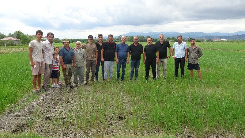 samsun haber. Samsun'da üretici isyanda! "Emeklerimiz yanıyor"