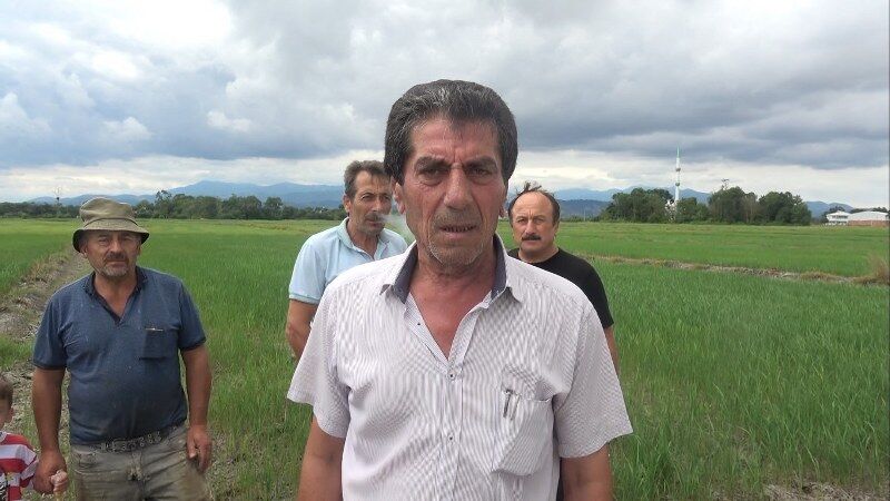 samsun haber. Samsun'da üretici isyanda! "Emeklerimiz yanıyor"