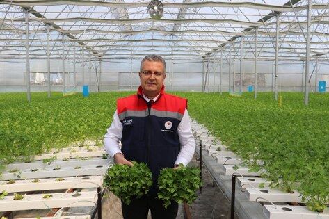 samsun haber: Samsun'da üreticilerin tercihi şaşırttı! Başvurular rekor kırdı