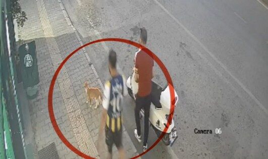 samsun haber: Samsun'da vicdanları sızlatan olayın faili adliyede!
