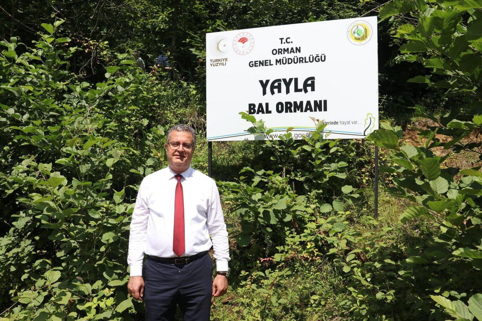 Samsun'un altın değerindeki lezzetinde hasat başladı!