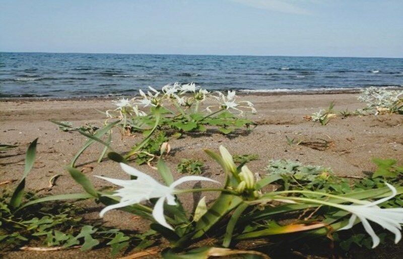 samsun haber. Samsun'da tek bir ihlal 699 bin TL'ye mal oldu