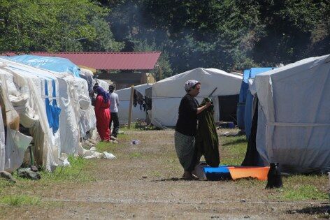Karadeniz'de fındık sezonu başlıyor! İlk çadırlar kuruldu