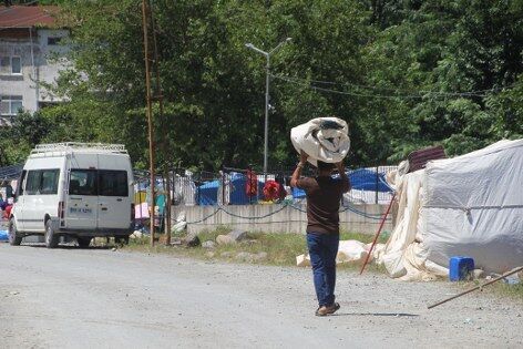 Karadeniz'de fındık sezonu başlıyor! İlk çadırlar kuruldu