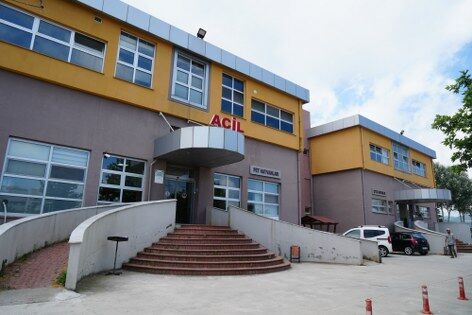 samsun haber: Samsun'da uzman isim uyardı! Hayvanlar için büyük tehlike