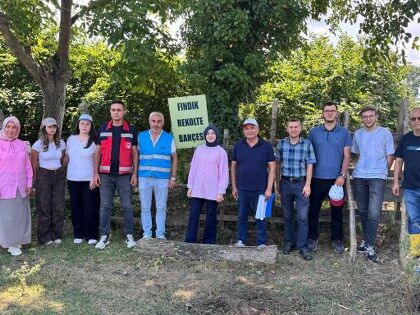 samsun haber: Samsun'da fındıkta kritik süreç sona erdi! Gözler o rakamda 