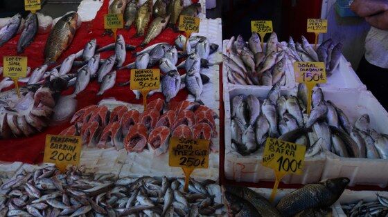 samsun haber: Samsun'da yaz geldi, balık tezgahları değişti! İşte vatandaşın tercihi 