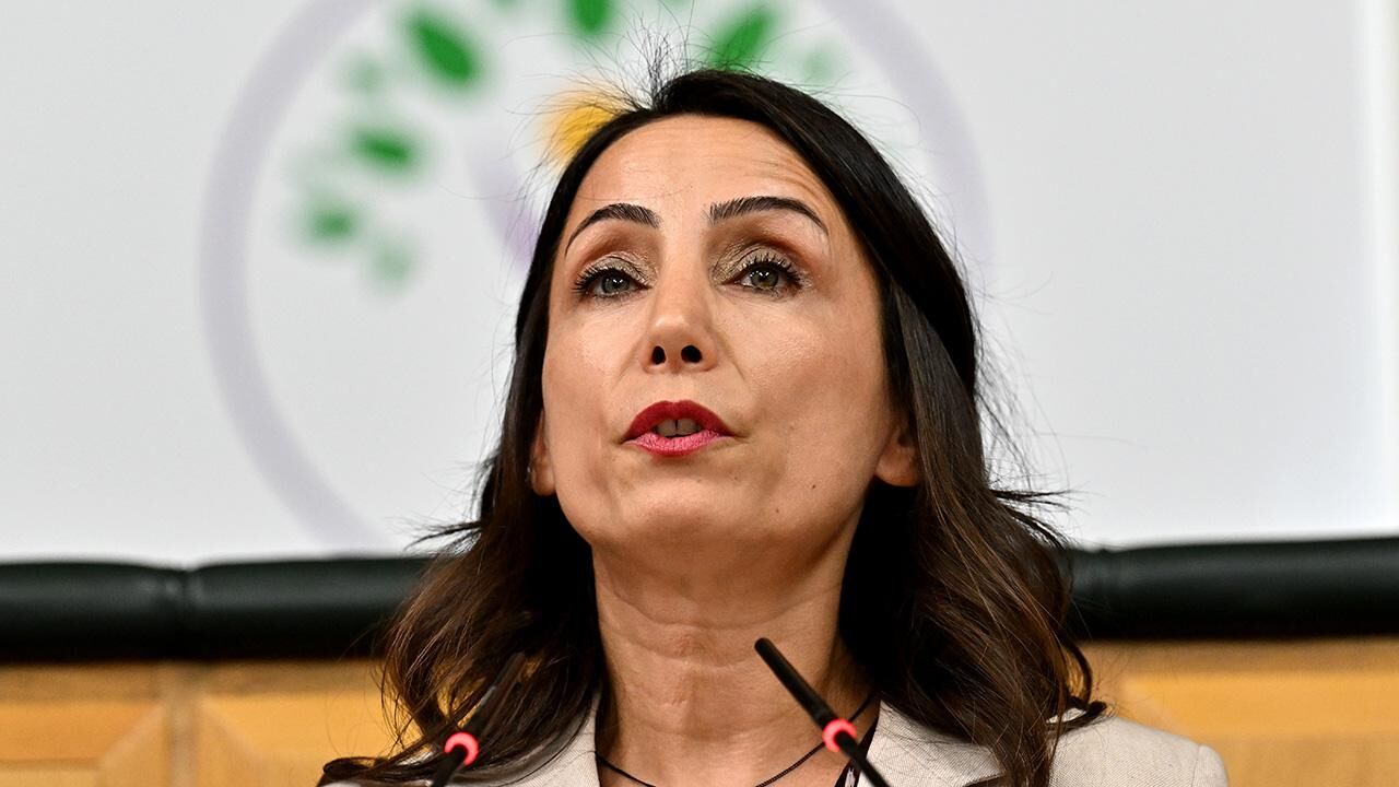 Çerçeve Yasa nedir? Düzenlemede hangi maddeler var?