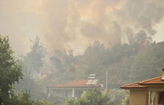 Muglanin Fethiye Ilcesinde Orm 20077651 9250 1 M