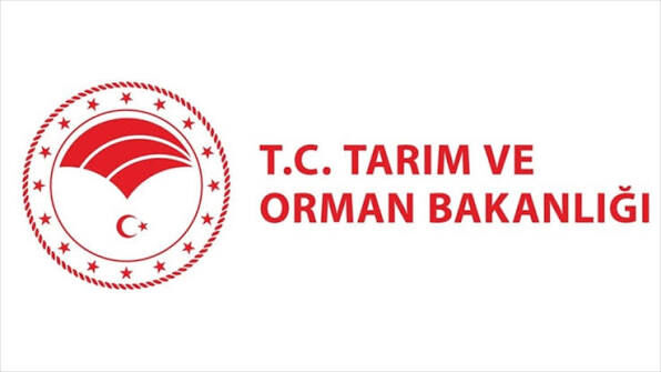 O bakanlık duyurdu! Personel alımı yapılacak