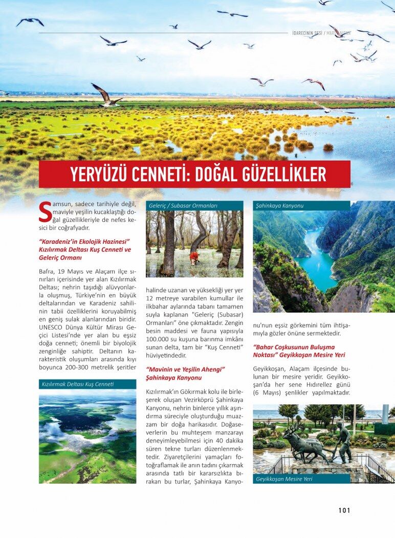 Ozeldosya Samsun 7 772X1050