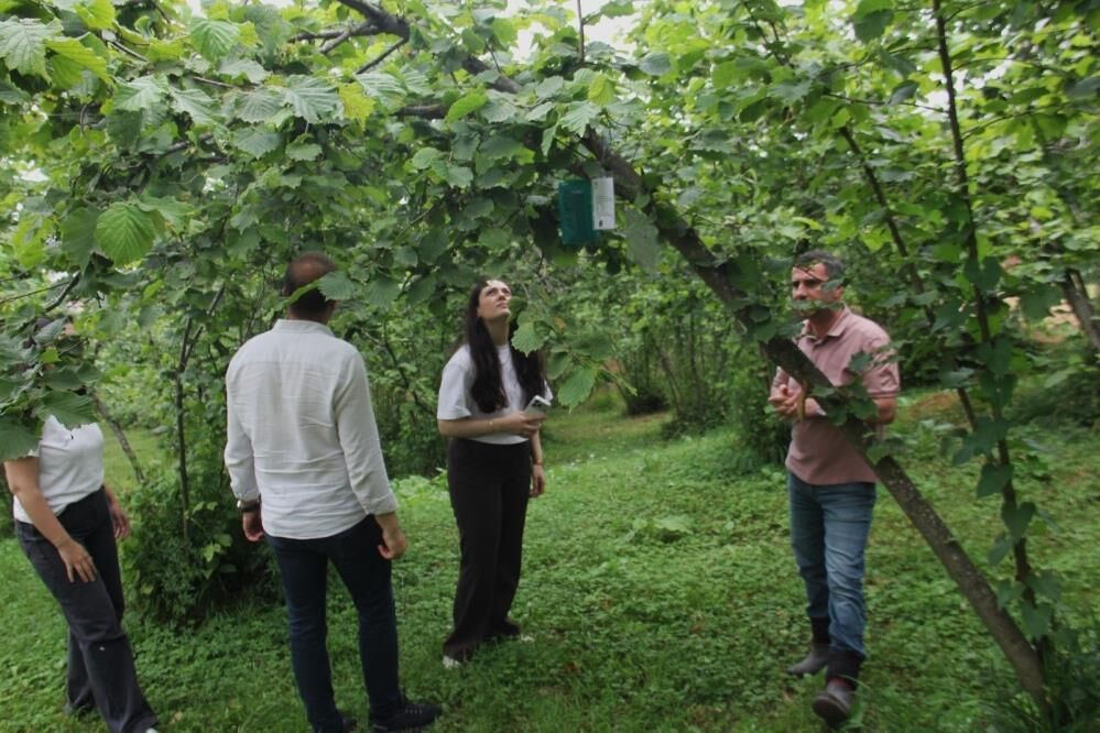 Samsun Haber. Samsun, 3 ülkenin tarım projesinde yer aldı