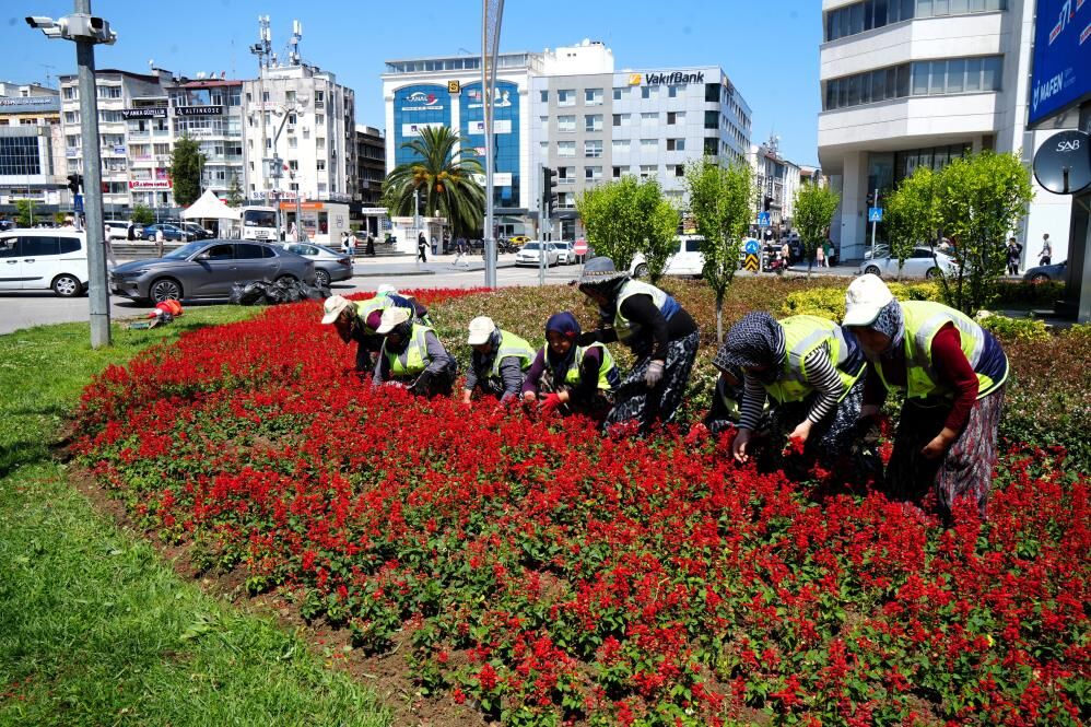Samsun Haber. Samsun'da 1 milyon çiçek kadınların emeğiyle toprakla buluştu