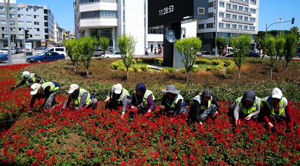 Samsun Haber. Samsun'da 1 milyon çiçek kadınların emeğiyle toprakla buluştu