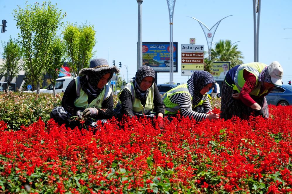 Samsun Haber. Samsun'da 1 milyon çiçek kadınların emeğiyle toprakla buluştu