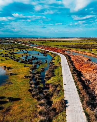 Samsun Haber. Samsun'da doğanın gizli döngüsü! Çekilen sular hayat veriyor