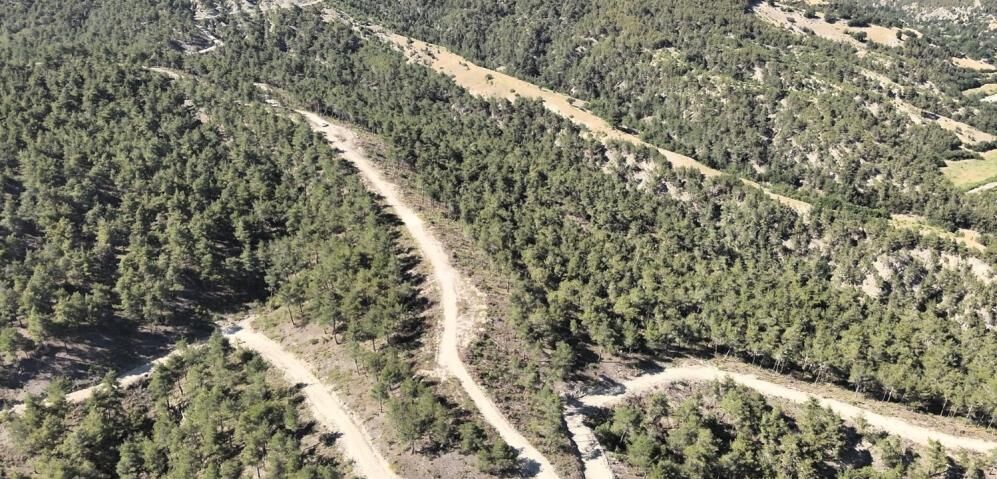 Samsun Haber. Samsun'da orman köylülerine 1 milyar liralık destek