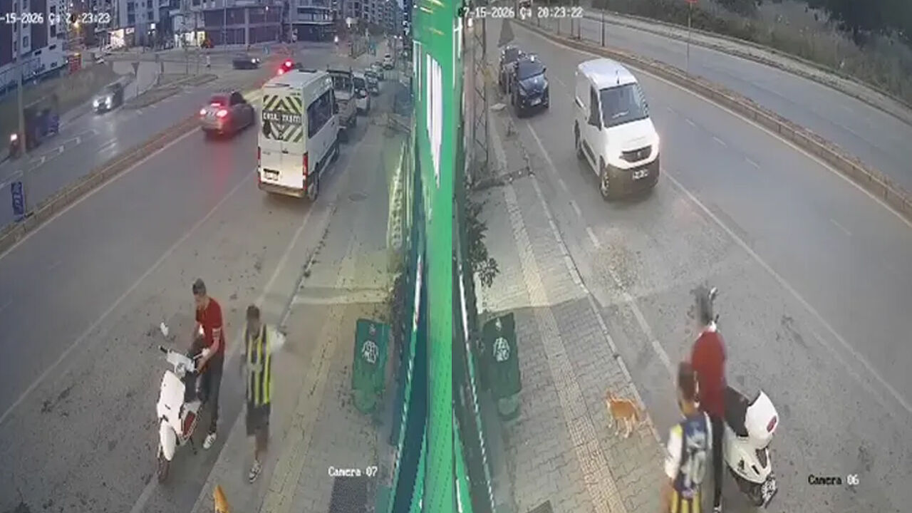 Samsun'da vicdanları sızlatan olay! Sokak kedisine tekme attı