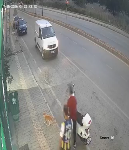 samsun haber Samsun'da vicdanları sızlatan olay! Sokak kedisine tekme attı